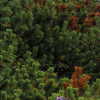 Naturpark Allgäuer Hochalpen
