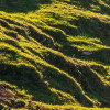 Picos de Europe Alm