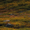 Schroffes Paradies