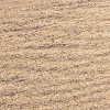 Vivid Dunes