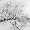 Weiss-Blau