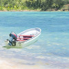 Fiji Dreams Boat 
