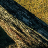 Green Ridges 