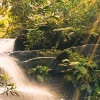 Golden Falls