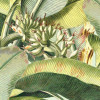 Banana Grove