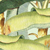 Banana Grove