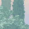 Flaneur