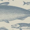 Sea Study