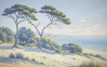 Sandy Coast