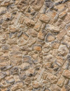 Muro