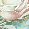 Rose Poem