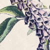Flowering Herbs