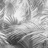 Cocco