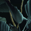 Jungle Night