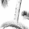 Retro Palm