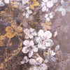 Hanami