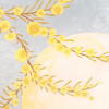 Sol