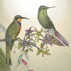 Wildlife Birds