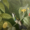 Wildlife Birds
