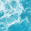 The Shore