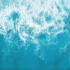 The Shore