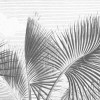 Flora and Fauna