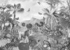 Flora and Fauna