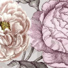 Lovely Blossoms