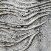 Concrete Feather