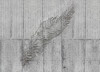 Concrete Feather