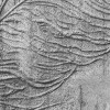 Concrete Feather