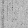 Concrete Feather