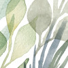 Breeze