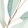 Breeze