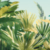 Jungle Expedition