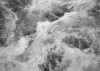 Wildest Water