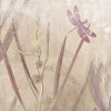 Dragonfly Pond