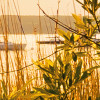 Lakeside