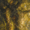 Rio de Luz