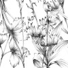 Butterfly Field