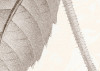 La Maison