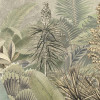 Amazonia