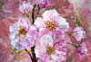 Blooming Gems