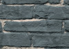 Painted Bricks