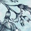 Windflowers