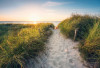Way to the Beach