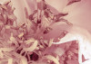 Peonies