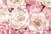 Peonies
