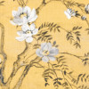 Mandarin