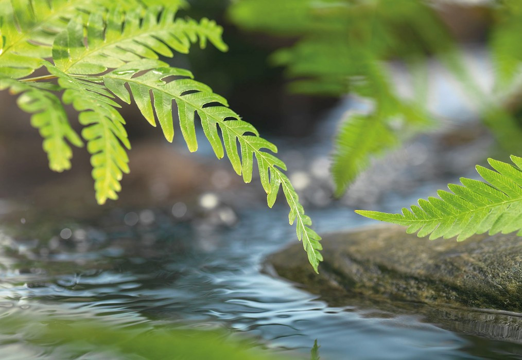Along the River